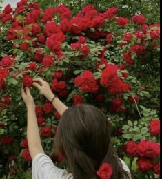 زینب رجبی, 30 years old, Woman, Aleshtar, Iran