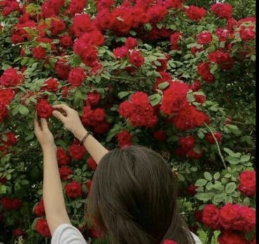 زینب رجبی, 30 years old, Aleshtar, Iran